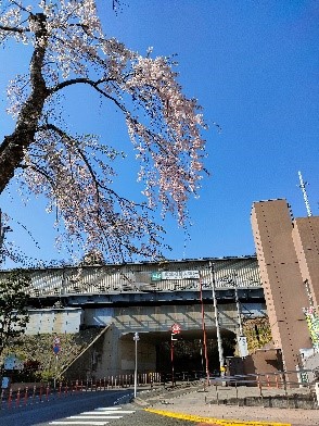 （東北福祉大駅前）