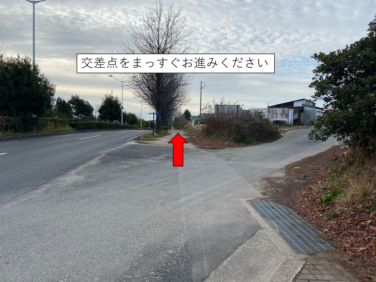 大府センター道順