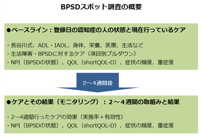 スポット調査の概要図